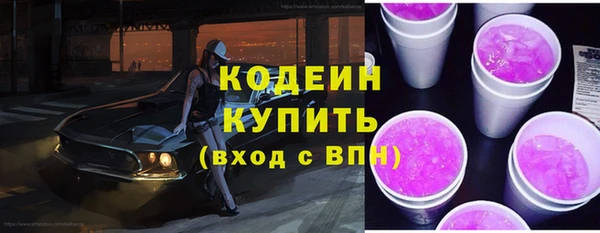 индика Беломорск