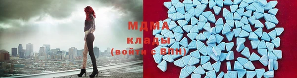 индика Беломорск