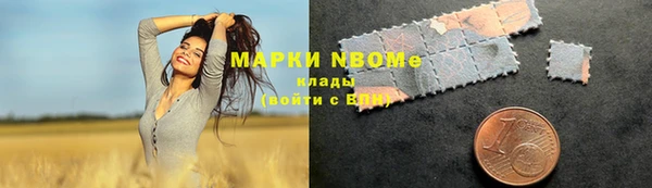 индика Беломорск