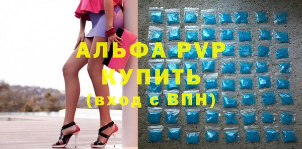 индика Беломорск