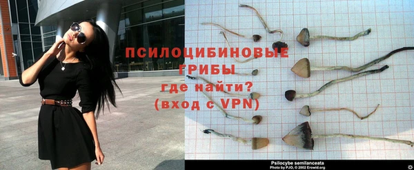 круглые Белокуриха