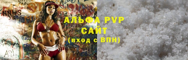 индика Беломорск
