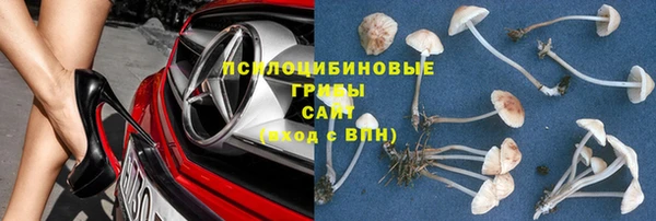 круглые Белокуриха