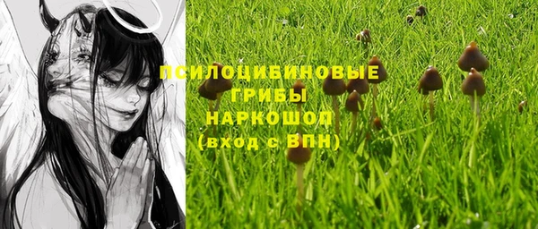 круглые Белокуриха